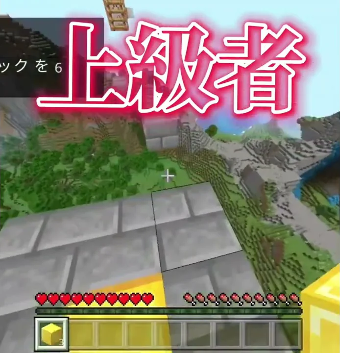 マイクラ上級者セキュリティ