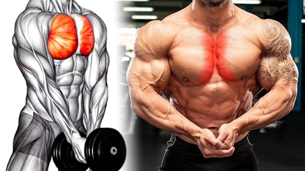 5 Effective Exercises for Chest Inner Line - Chest Workout - YouTube