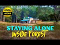 Sultan forest rest house dhikala jim corbett  4k