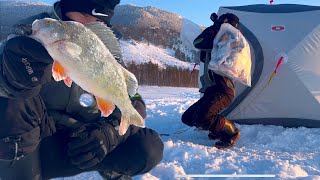 видео: ОКУНИ МОНСТРЫ, ЛЕЩИ ДУПЛЕТАМИ И МЕШКИ РЫБЫ!!! ТАКОЕ НЕВОЗМОЖНО! Зимняя рыбалка в диких местах. картинка: ОКУНИ МОНСТРЫ, ЛЕЩИ ДУПЛЕТАМИ И МЕШКИ РЫБЫ!!! ТАКОЕ НЕВОЗМОЖНО! Зимняя рыбалка в диких местах.