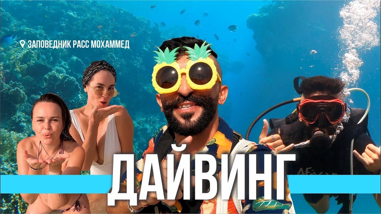 Лучшее место для дайвинга! Египетские «Мальдивы» | Экскурсии в Шарм Эль Шейхе 2024