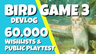 Bird Game 3 - Devlog #2: Results of PUBLIC PLAYTEST screenshot 3
