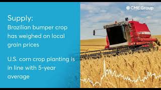 Ag Insights: May WASDE Report