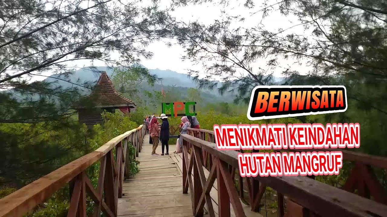 Wisata Alam Hutan Mangruf Pantai Prigi Trenggalek Jawa Timur Wisata Alam Hutan Mangruf Pantai Prigi Trenggalek Jawa Timur