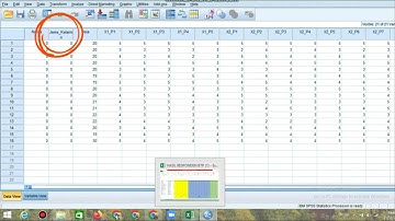 Cara memindahkan data kuisioner google form kedalam excel lalu dari data excel ke spss versi 20