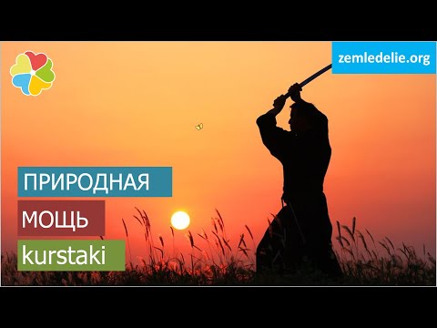 #36 🥷 Лепидоцид: биозащита от гусениц и красных личинок колорадки. Bacillus thuringiensis kurstaki