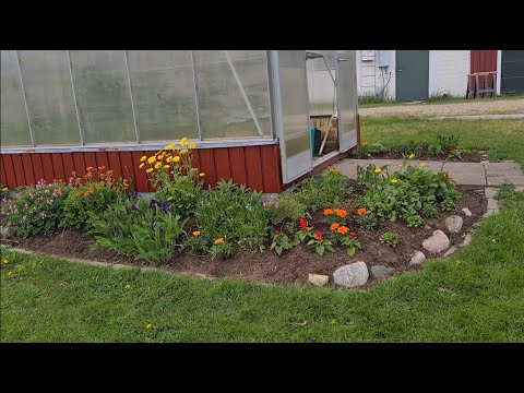 Video: Inredning I Förortsområdet: Blomsterrabatter, Gränser, Mixborders