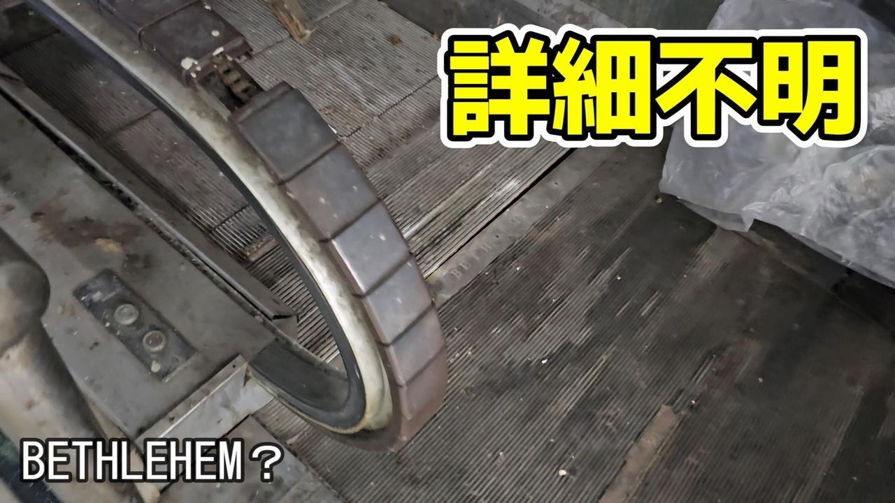 【初めて見た謎機種】特殊なベルトのエスカレーター BETHLEHEM