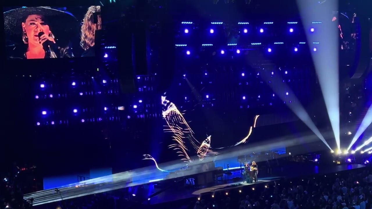 Pink - What About Us (Live at FireAid Benefit Concert)