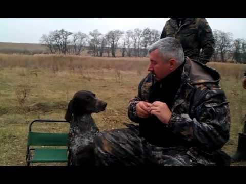 Ukrainian Dog Fetches Vodka