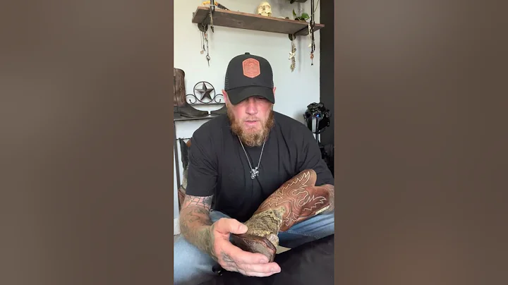 Lucchese Rattlesnakes and how to Care for them