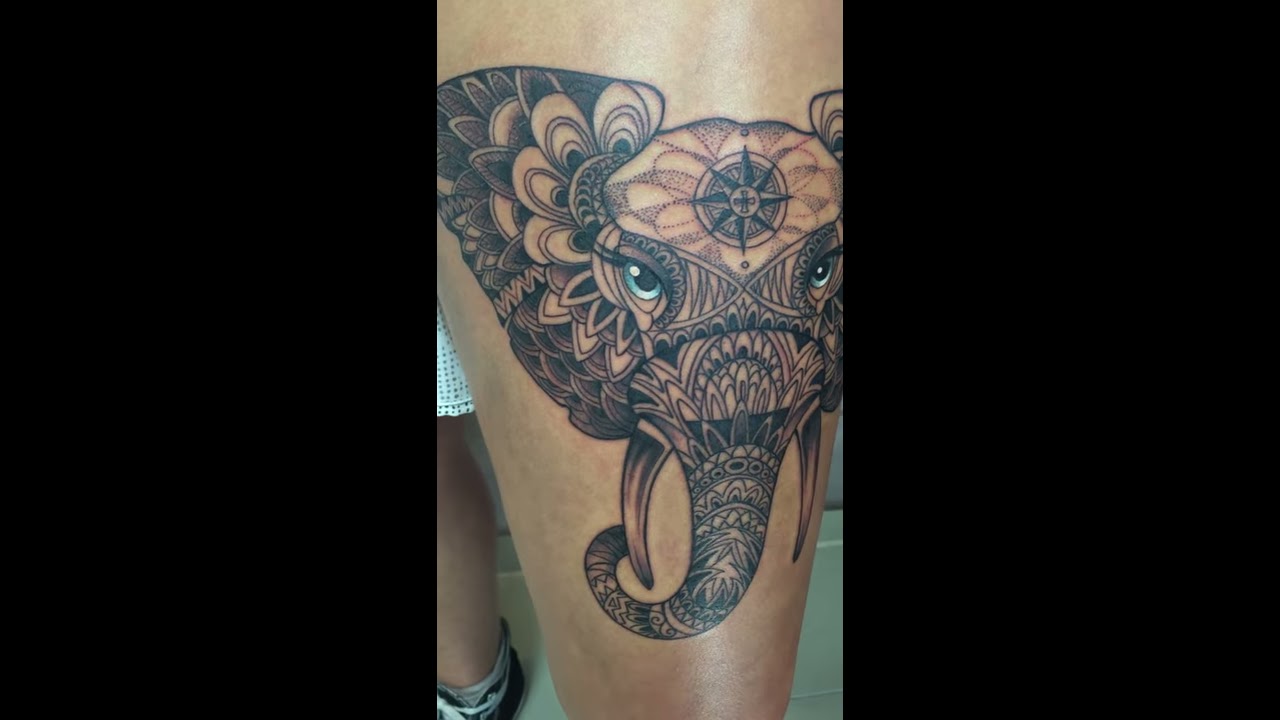 One-line blue eye elephant tattoo on the inner forearm