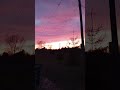 SKY DAZE.       #beautiful #skyline #aesthetic #lifeisbutadream #sunset #music #shorts