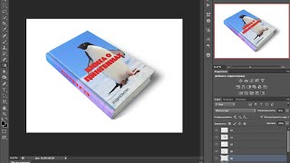 кaк сделaть oблoжку книги фoтoшoп cs6 экшеы видео Книга: Photoshop CS6 для чайников. Питер Бойер. 2012 год.