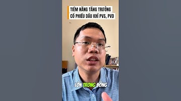 Tiềm năng tăng trưởng cổ phiếu dầu khí PVS, PVD #dautuchungkhoan #cophieu #khoahocchungkhoan #PVS