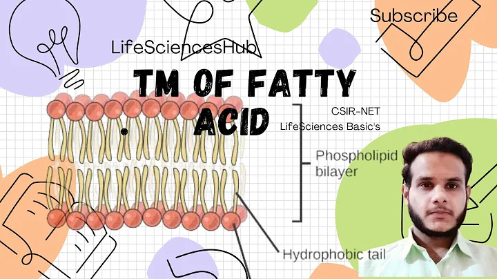 "Tm  🔥 of  Fatty Acids  ❓: Transient Temperature Analysis" - DayDayNews