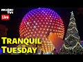 🔴Live: Tranquil Tuesday at Epcot - Walt Disney World Live Stream - 11-28-23