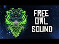 Forest Owl Sound ! 🦉 Free SFX Download !