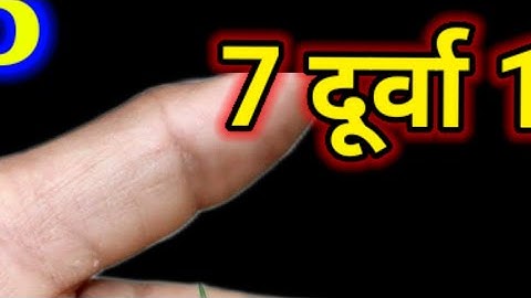 05 सितंबर शुक्रवार त्रयोदशी के दिन 7 दूर्वा और हल्दी वाला उपाय जरूर करें बनोगेPradeep Ji Mishra