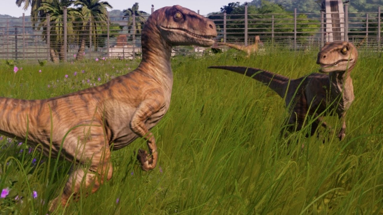 Rare Raptors Jurassic World Evolution Cinematic 5 Youtube 