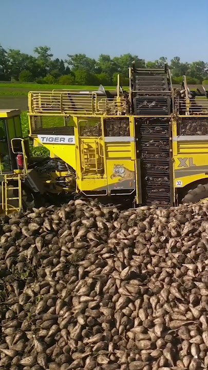 Ukraine’s black soil meets German power #ropa6