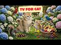 🐦 Mesmerizing Forest Birds for Pets 🌿 | 4K UHD TV Cats & Dogs Absolutely Love
