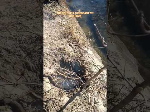 Https M Youtube Com Watch V EwEzAzfl2bM T 375s