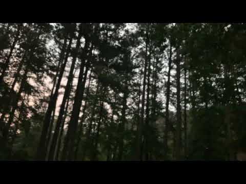 What A Severe Thunderstorm Looks Like In Fayetteville Georgia On Sunday Night June 17th 2020
