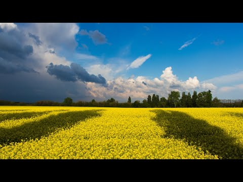 Landscapes to music. Ukrainian landscapes. Ukraine. @Best Relaxation Music