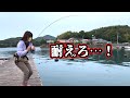 デイアジングでデカアジが爆釣する奇跡の場所…