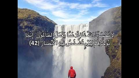 القارئ إسلام صبحي سورة إبراهيم - الآية [42 - 52] إسلام صبحي / تلاوات خاشعة