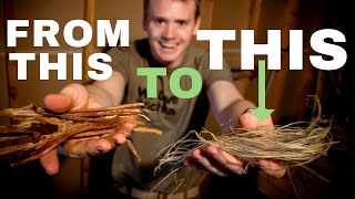 HOW TO: PROCESS SINEW 'for making bows'