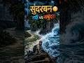 Sundarbans: Jahan River Aur Ocean Takrate Hain! 🌊🔥#facts #sundarban