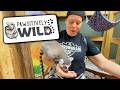 Getting Wild at PAWSITIVELY WILD Zoo &amp; Rescue | A Day Filled With Smiles &amp; Joy