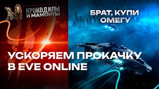 картинка: Как ускорить прокачку новичку в EVE ONLINE