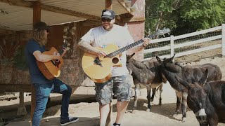 Rome & Duddy - Cannabis Tree Official Music Video