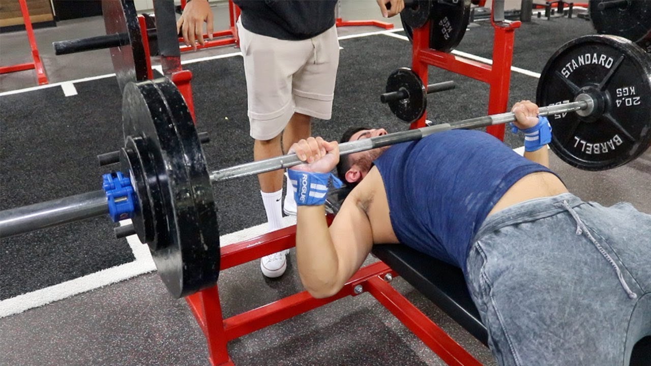 Zoo Culture Gym 255 Bench Press Pr New One Rep Max Chest Day Youtube