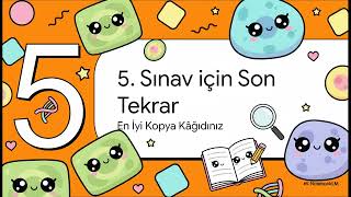 Bitki Ve Hayvan Hücreleri Biyoloji Tyt ---Sinavio.co---