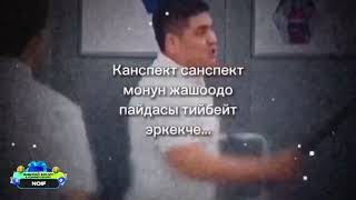 Канспект Санспект