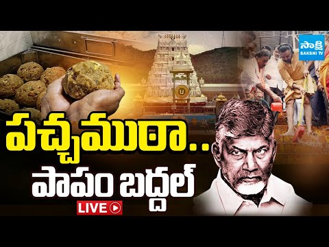 LIVE : Tirumala Laddu Ghee Adulteration Controversy: Chandrababu, Pawan Kalyan | BR Naidu | Sakshi - SAKSHITV