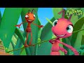 Walking on a tightrope | Funny Cartoons For All The Family! | Funny Videos for kids | ANTIKS 🐜🌿