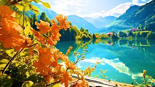 Relaxing Music For A Comfortable Mind 🌿 Sound Of Water, Spa Music