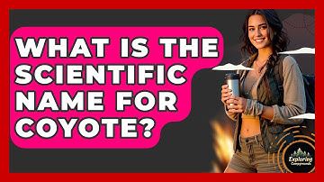 What Is The Scientific Name For Coyote? - Exploring Campgrounds