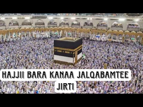 Hajjii Bara 2016 Jalqabame Jira