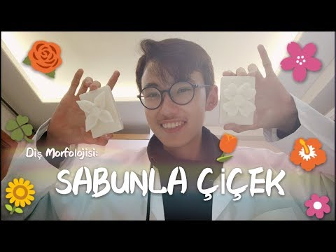 Video: Sabundan çiçek Nasıl Kesilir