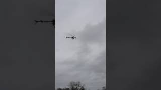 speed test raptor 30 rc helicopter