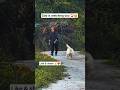 WATCH TILL THE END…💔🥹 #dog #kindness #shortsfeed #humanity #emotional #respect