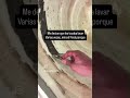 🚨 Mantenimiento de Lavadora 🚨Mira lo sucia que estaba esta lavadora por dentro…