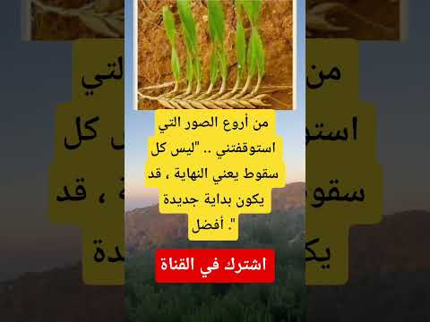 من أروع الصور التي استوقفتني ليس كل سقوط يعني النهاية