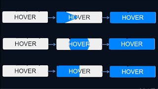 Amazing Hover Effects Using CSS [HTML & CSS Tutorial] News
